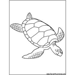 Coloring page: Tortoise (Animals) #13485 - Free Printable Coloring Pages