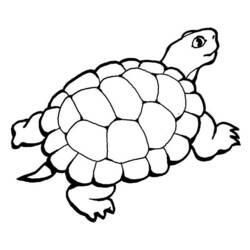 Coloring page: Tortoise (Animals) #13514 - Free Printable Coloring Pages