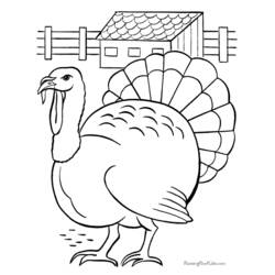 Coloring page: Turkey (Animals) #5320 - Free Printable Coloring Pages
