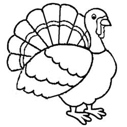 Coloring page: Turkey (Animals) #5329 - Free Printable Coloring Pages
