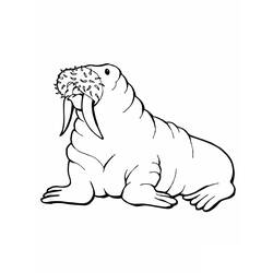 Coloring page: Walrus (Animals) #16473 - Free Printable Coloring Pages