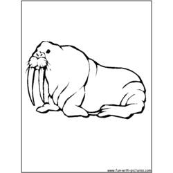 Coloring page: Walrus (Animals) #16477 - Free Printable Coloring Pages
