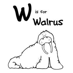 Coloring page: Walrus (Animals) #16502 - Free Printable Coloring Pages