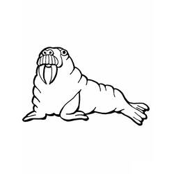 Coloring page: Walrus (Animals) #16530 - Free Printable Coloring Pages