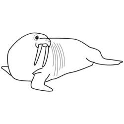 Coloring page: Walrus (Animals) #16563 - Free Printable Coloring Pages