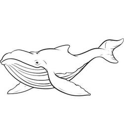 Coloring page: Whale (Animals) #865 - Free Printable Coloring Pages