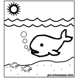 Coloring page: Whale (Animals) #867 - Free Printable Coloring Pages