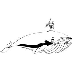 Coloring page: Whale (Animals) #904 - Free Printable Coloring Pages