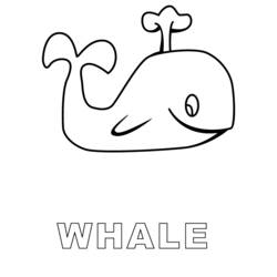 Coloring page: Whale (Animals) #905 - Free Printable Coloring Pages