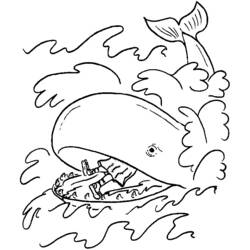 Coloring page: Whale (Animals) #916 - Free Printable Coloring Pages