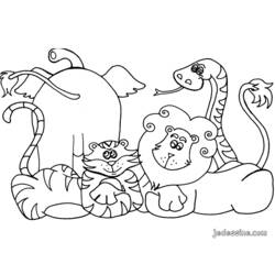 Coloring page: Wild / Jungle Animals (Animals) #21085 - Free Printable Coloring Pages