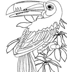 Coloring page: Wild / Jungle Animals (Animals) #21094 - Free Printable Coloring Pages
