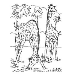 Coloring page: Wild / Jungle Animals (Animals) #21144 - Free Printable Coloring Pages