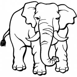Coloring page: Wild / Jungle Animals (Animals) #21155 - Free Printable Coloring Pages