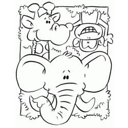 Coloring page: Wild / Jungle Animals (Animals) #21216 - Free Printable Coloring Pages