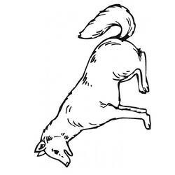 Coloring page: Wolf (Animals) #10508 - Free Printable Coloring Pages