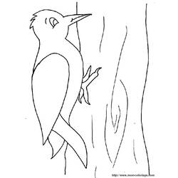 Coloring pages: Woodpecker - Free Printable Coloring Pages