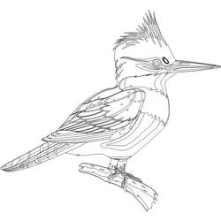 Coloring page: Woodpecker (Animals) #16747 - Free Printable Coloring Pages