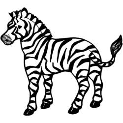 Coloring page: Zebra (Animals) #12937 - Free Printable Coloring Pages