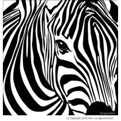 Coloring page: Zebra (Animals) #12965 - Free Printable Coloring Pages