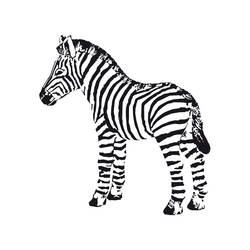 Coloring page: Zebra (Animals) #13042 - Free Printable Coloring Pages