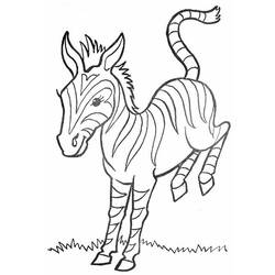 Coloring page: Zebra (Animals) #13105 - Free Printable Coloring Pages
