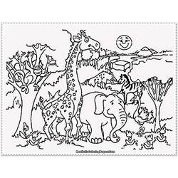 Coloring page: Zoo (Animals) #12660 - Free Printable Coloring Pages