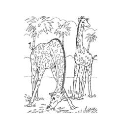 Coloring page: Zoo (Animals) #12814 - Free Printable Coloring Pages