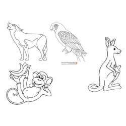 Coloring page: Zoo (Animals) #12839 - Free Printable Coloring Pages