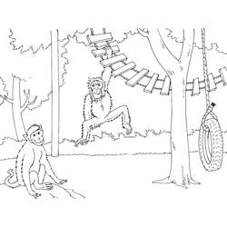 Coloring page: Zoo (Animals) #12933 - Free Printable Coloring Pages