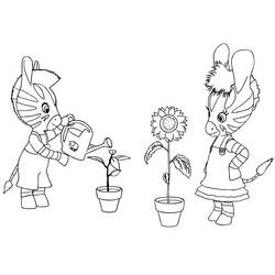 Coloring pages: Zou - Free Printable Coloring Pages