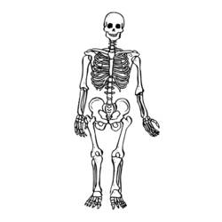 Coloring page: Skeleton (Characters) #147415 - Free Printable Coloring Pages