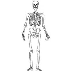 Coloring page: Skeleton (Characters) #147444 - Free Printable Coloring Pages