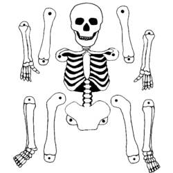 Coloring page: Skeleton (Characters) #147465 - Free Printable Coloring Pages