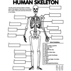 Coloring page: Skeleton (Characters) #147475 - Free Printable Coloring Pages