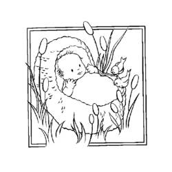 Coloring page: Birth (Holidays and Special occasions) #55565 - Free Printable Coloring Pages