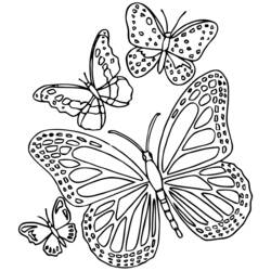 Coloring page: Butterfly Mandalas (Mandalas) #117400 - Free Printable Coloring Pages