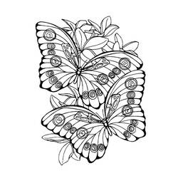 Coloring page: Butterfly Mandalas (Mandalas) #117423 - Free Printable Coloring Pages