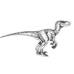 Coloring page: Jurassic Park (Movies) #15888 - Free Printable Coloring Pages