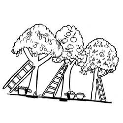 Coloring page: Apple tree (Nature) #163463 - Free Printable Coloring Pages