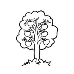 Coloring page: Apple tree (Nature) #163492 - Free Printable Coloring Pages