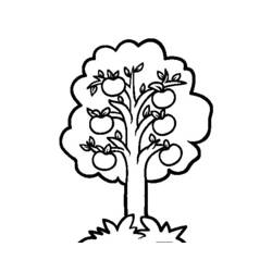 Coloring page: Apple tree (Nature) #163751 - Free Printable Coloring Pages