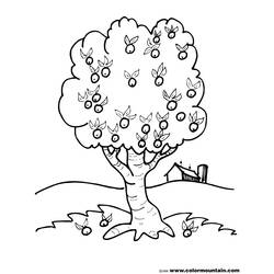 Coloring page: Apple tree (Nature) #163788 - Free Printable Coloring Pages
