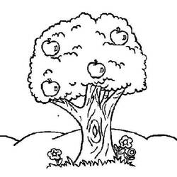 Coloring page: Apple tree (Nature) #163794 - Free Printable Coloring Pages