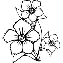 Coloring page: Bouquet of flowers (Nature) #161003 - Free Printable Coloring Pages
