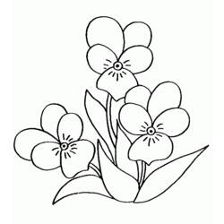 Coloring page: Bouquet of flowers (Nature) #161093 - Free Printable Coloring Pages