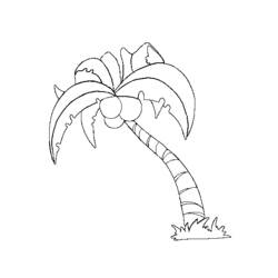 Coloring page: Coconut tree (Nature) #162116 - Free Printable Coloring Pages
