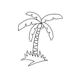 Coloring page: Coconut tree (Nature) #162137 - Free Printable Coloring Pages