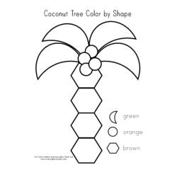 Coloring page: Coconut tree (Nature) #162374 - Free Printable Coloring Pages