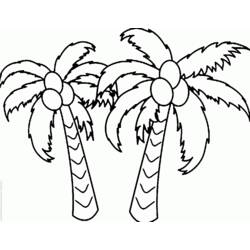 Coloring pages: Coconut tree - Free Printable Coloring Pages